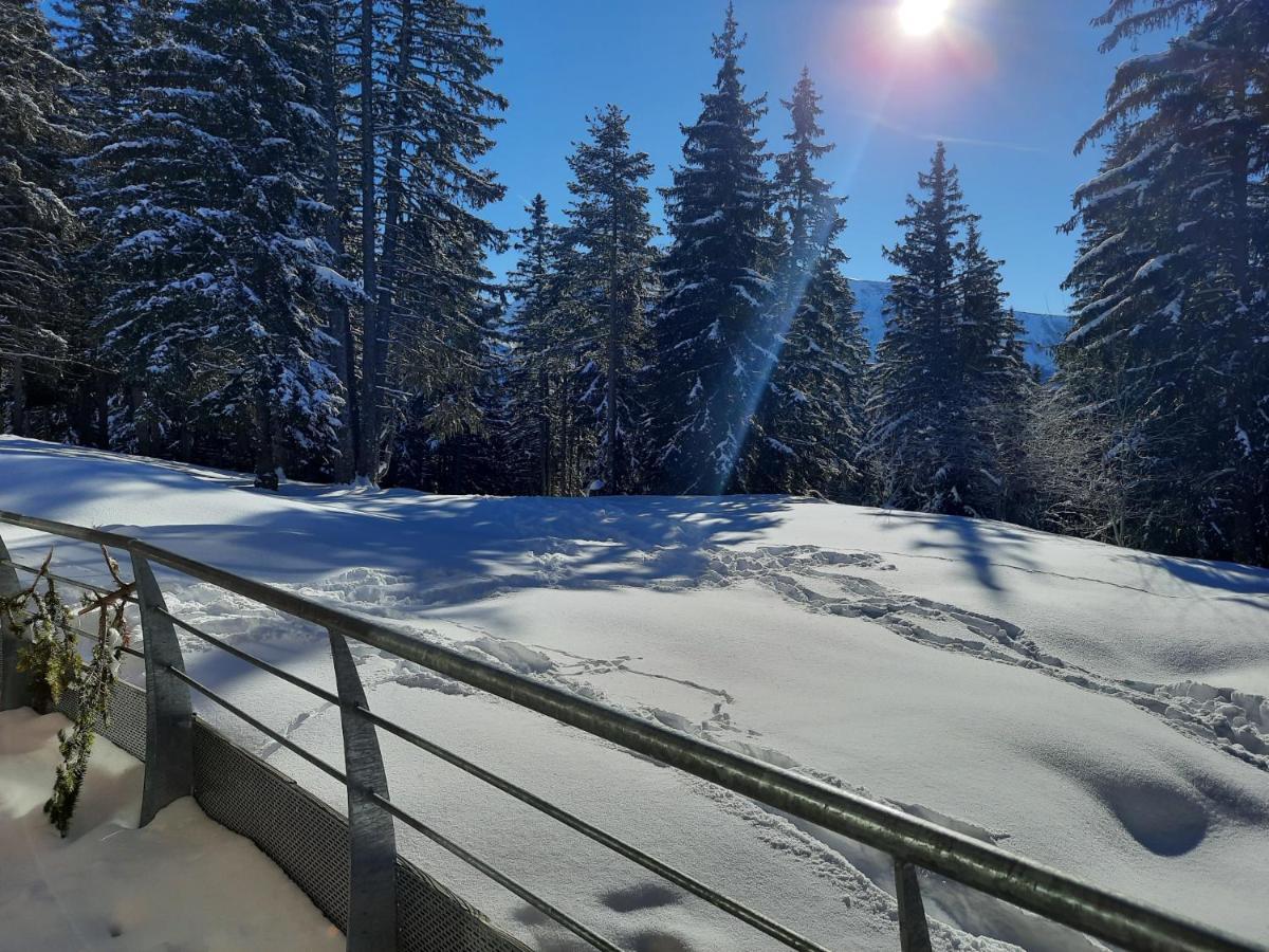 La Petite Foret Chamrousse 1700 מראה חיצוני תמונה