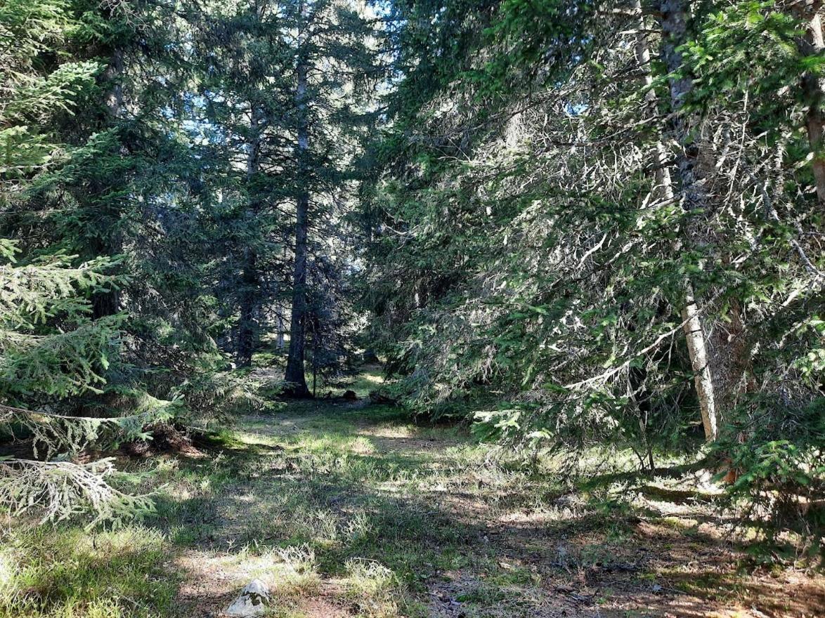 La Petite Foret Chamrousse 1700 מראה חיצוני תמונה