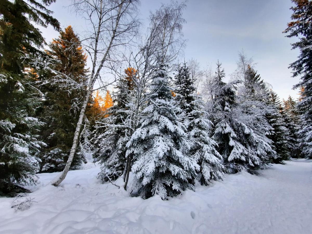 La Petite Foret Chamrousse 1700 מראה חיצוני תמונה