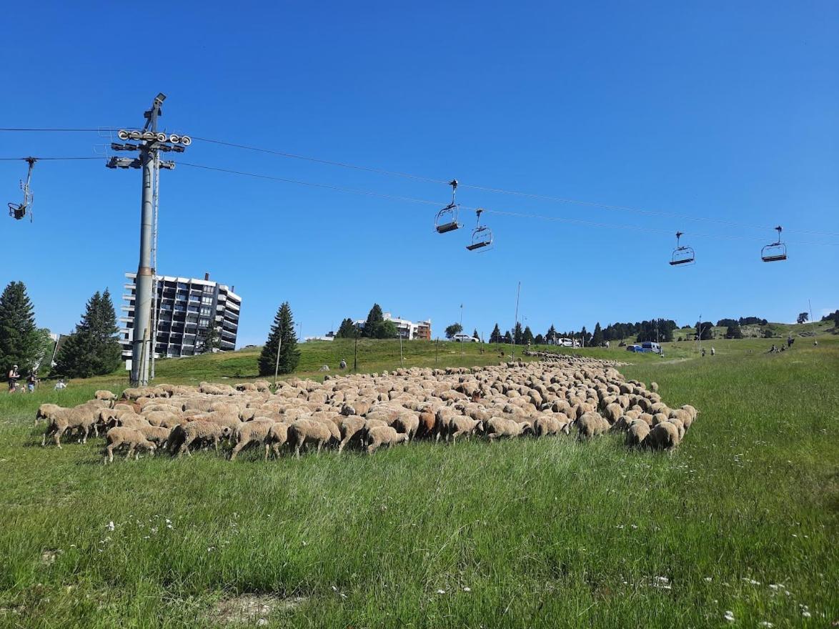 La Petite Foret Chamrousse 1700 מראה חיצוני תמונה