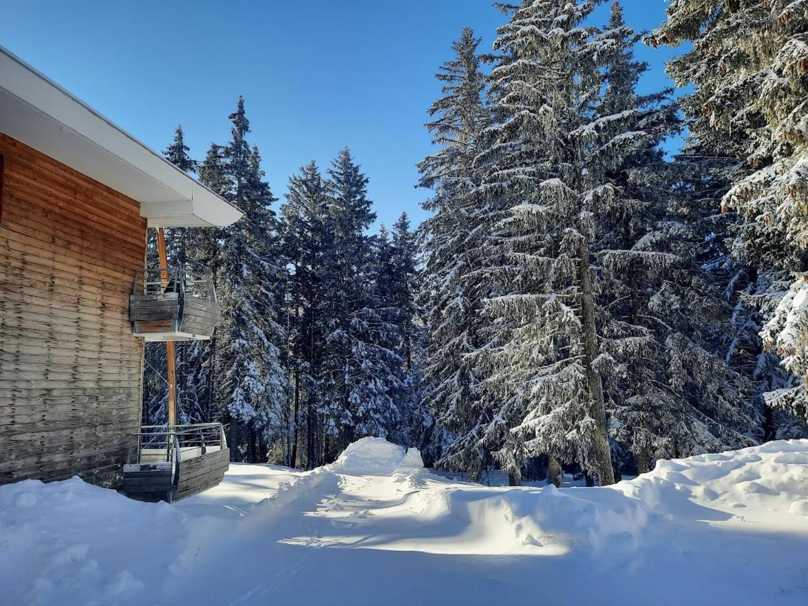La Petite Foret Chamrousse 1700 מראה חיצוני תמונה
